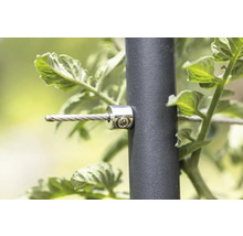 Detaljbild av ett växtstödsystem med stålvajer och fästklämma