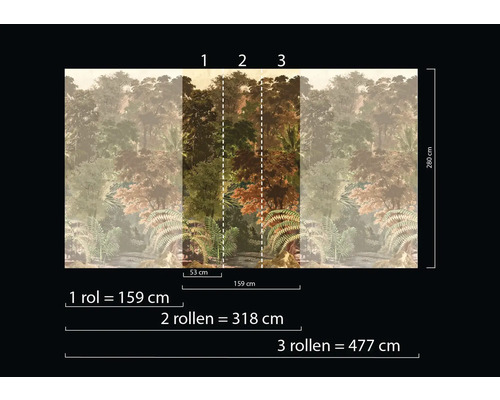 Fototapet med skogsmotiv och storleksinformation