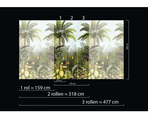 Tropisk fototapet med palmer och växter, måttangivelser för en, två eller tre rullar.