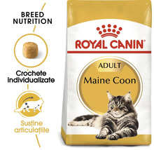 Royal Canin Maine Coon Adult kattmatförpackning