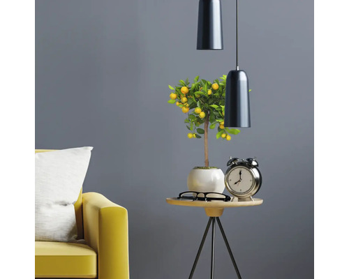 Dekorativ inredning med citronträd, bordslampa, bord och soffa.
