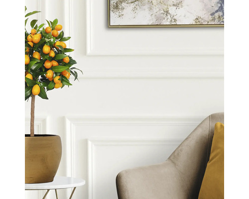 Konstgjord kumquatträdsplanta i kruka som dekoration