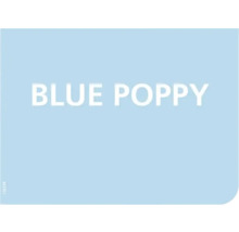 Väggfärg StyleColor blue poppy 2,5l