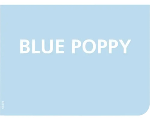 Färgprov blå vallmo