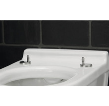 Vit Duravit toalett med rostfria gångjärn
