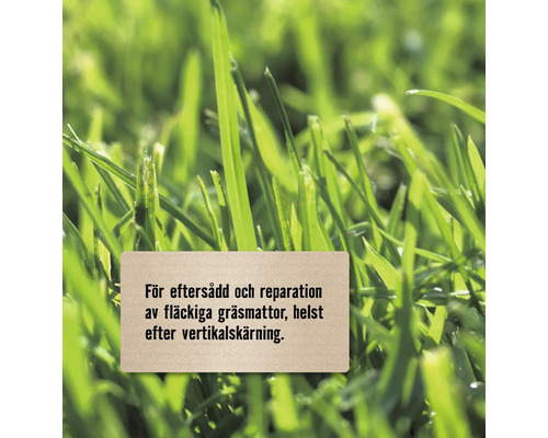 Information om eftersådd och reparation av gräsmattor