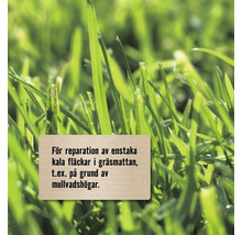 Närbild av gräs med en skylt för reparation av enstaka kala fläckar i gräsmattan, till exempel på grund av mullvadshögar.
