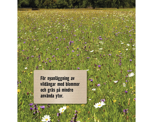 Blomsteräng för nyanläggning med blommor och gräs på mindre använda ytor