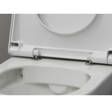 Detaljvy av en vit toalettring med öppet lock