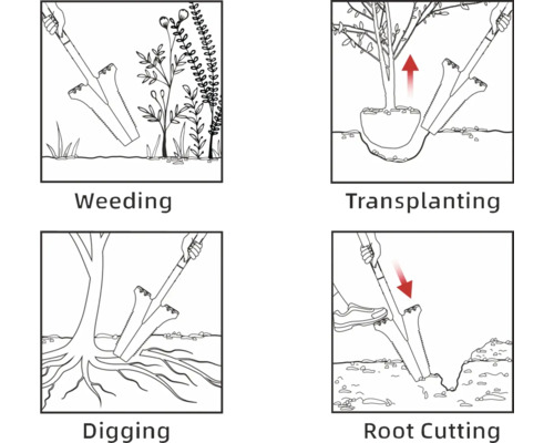 Illustrationer som visar användningen av en ogräsjärn för rensning, omplantering, grävning och rotskärning.