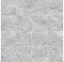 Kakel med marmorutseende i kakelmönster