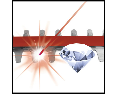 Illustration av en häcksax med diamantslipat blad