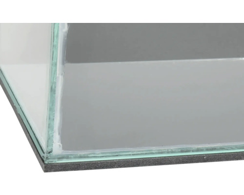 Detaljvy av ett akvarium av glas