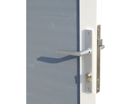 Dörrbeslag med handtag på en trädörr