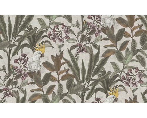 Tapet med växter, kakaduor och kolibrier