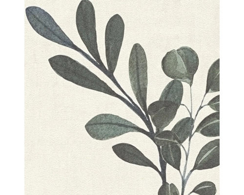 Närbild av grenar med blad