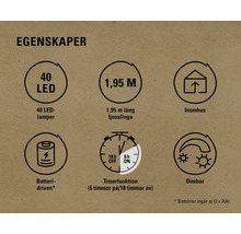 Egenskaper: 40 lysdioder, 1,95 meter lång, för inomhusbruk, batteridriven, timerfunktion, dimbar