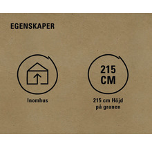 Egenskaper: Lämplig för inomhusbruk och 215 centimeter hög