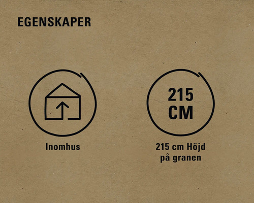 Egenskaper: Lämplig för inomhusbruk och 215 centimeter hög