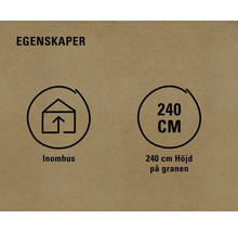 Egenskaper: Lämplig för inomhusbruk, höjd 240 centimeter