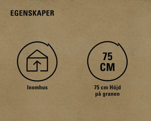 Egenskaper: Inomhus, höjd 75 centimeter