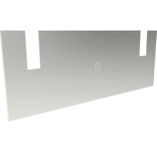 Duschvägg i glas med manöverelement