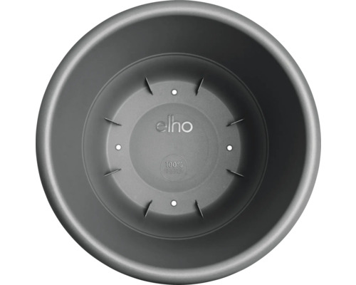 Grå blomkruka uppifrån