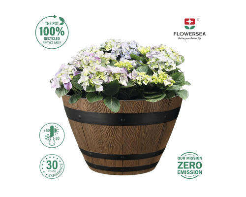 Blomkruka i träfatlook planterad med hortensior