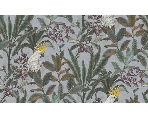 Tapet med kakaduor, kolibrier, blad och blommor