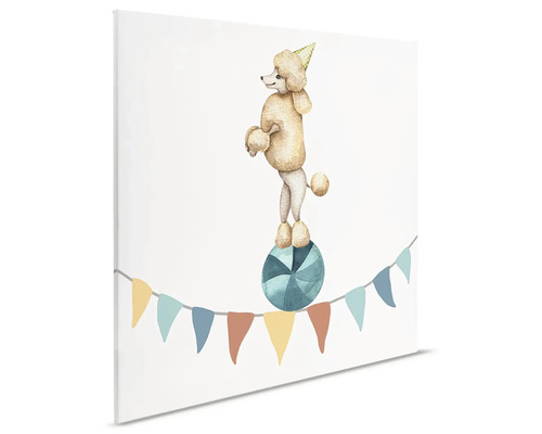 Canvastavla med en pudel med partyhatt på en boll och en girlang