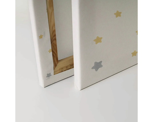 Två canvastavlor med stjärnmönster och träram