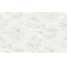 Tapet A.S CRÉATION Himmel vit 0,53x10,05m