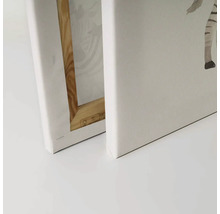 Närbild av två canvastavlor med träram