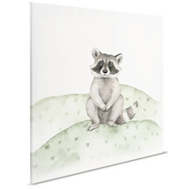 Illustration av en tvättbjörn på canvas