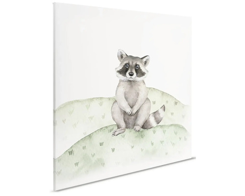 Illustration av en tvättbjörn på canvas