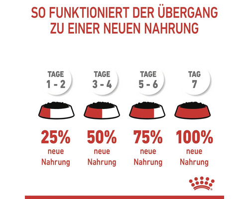Instruktioner för byte av hund- och kattmat med mängden mat per dag