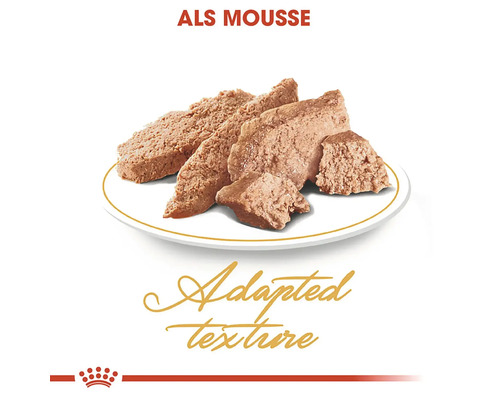 Kattmatsmousse på en tallrik