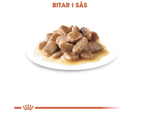 Kattmatbitar i sås på en tallrik