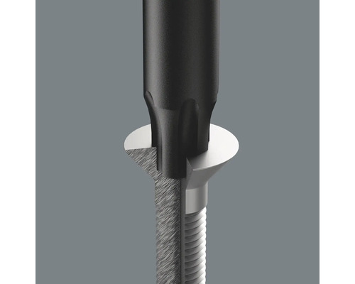 Skruvmejsel greppar i skruv med Torx-profil