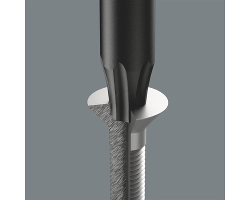 Skruvmejsel griper tag i skruvskallen