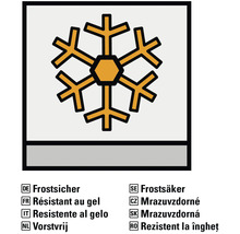 Frosttåligt symbol
