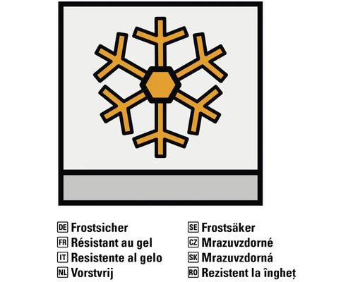 Frosttåligt symbol
