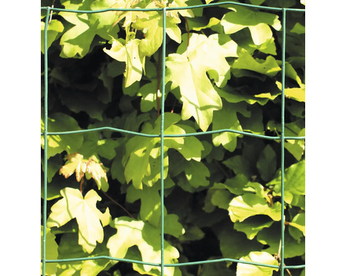 Grönt trådnät med växtlighet