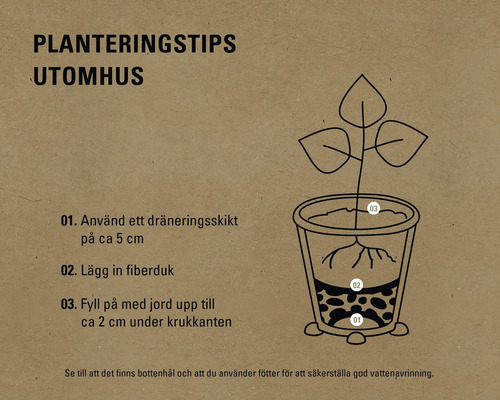 Illustration med planteringstips för utomhusbruk: Dräneringsskikt, fiberduk och jord i en kruka.