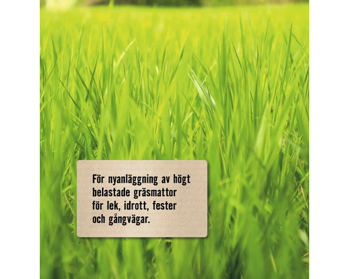 Gräsbakgrund med informationstavla för nyanläggning av gräsmatta