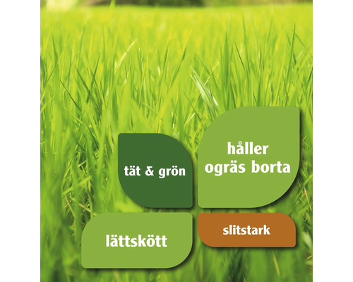 Närbild av gräsmatta med texterna tät och grön, håller ogräs borta, lättskött och slitstark