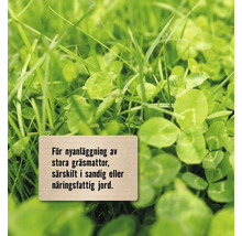 Gräs och klöver i detalj, skylt med instruktioner för plantering av stora gräsmattor, särskilt i sandig eller näringsfattig jord
