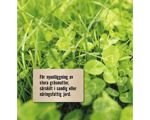Gräs och klöver i detalj, skylt med instruktioner för plantering av stora gräsmattor, särskilt i sandig eller näringsfattig jord