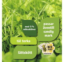Information om gräsmatta: Med 5 % mikroklöver, passar även till sandig mark, tål torka, lättskött, bi-vänlig