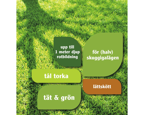 Information om gräsvård: upp till 1 meter djup rotbildning, för halvskuggiga lägen, tål torka, tät och grön, lättskött.